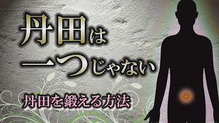 【丹田】武士道に学ぶ生命エネルギーの源｜鍛えることで秘めたパワーが開花する【呼吸法】