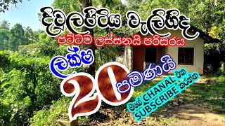 දිවුලපිටිය වැලිහිද පර්.15 නිවසයි ලක්ෂ 20යි . .කොළඹ කුරුණෑගල බස් පාරට 400m