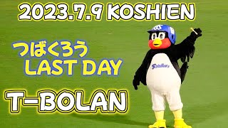 2023.7.9 甲子園球場 つば九郎最終日