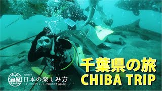 【千葉県の旅】梶田家の日本の楽しみ方～キャンピングカーで行った日本の自然・絶景・動物たち～Trip for japan