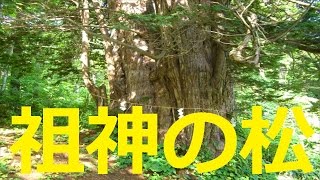 【北海道観光】祖神の松 (士別市)＝北海道の絶景 (音楽入り)