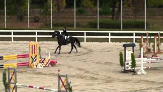 第３９回全日本総合馬術大会2009 PartⅡノービス Jumping