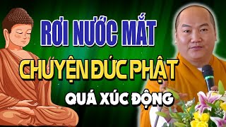 RƠI NƯỚC MẮT Với Câu Chuyện Cảm Động Của ĐỨC PHẬT - Quá Nhiều Điều Ta Chưa Biết! Thích Phước Tiến