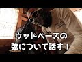 【弦の選び方1 2】コントラバス　スラップ　サイコビリー【psychobilly】