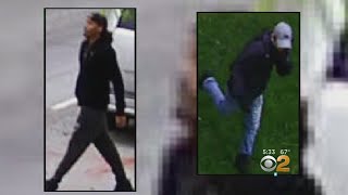 Search On For Duo Wanted In Rash Of Burglaries In Queens