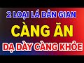 Tuổi Già, DẠ DÀY QUYẾT ĐỊNH TUỔI THỌ, Bác Sĩ Tiết Lộ 2 Rau Lá Càng Ăn, Dạ Dày Càng Khỏe Mạnh