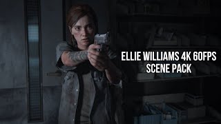 Ellie Williams 4K 60FPS Scene Pack