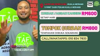 Jom Tempah Korban SAAT AKHIR bersama TAF Kedah  #qurban #korban