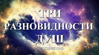 ТРИ ТИПА ДУШ во взаимоотношениях: Близнецовые Пламена, Родственные и Кармические Души.