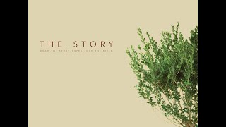 The Story-Deliverance, The Stories of Moses