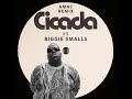 cicada vs. notorious big electric big poppa amac quick mix