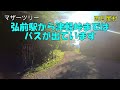 青森旅行 vol.4 白神山地冒険編 モデルコース おすすめ ガイド ブナ林散策道 青森県道28号 世界遺産 world heritage キツネ ヤマドリ 絶景 2021 夏 aomori trip