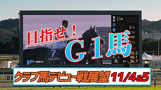 【一口馬主デビュー馬紹介11/4.5】有力ジョッキーが少ないから谷間の週とは言わせない！だってモレイラいるもん【節約大全】vol.1169