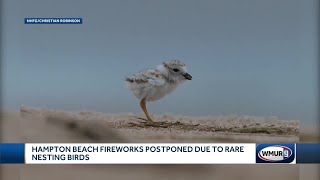 Hampton Beach takes precautions to protect rare nesting birds