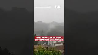 ¡Impresionante la fuerza de la naturaleza! 😱⚡Rayo impacta en un árbol destrozándolo en el momento