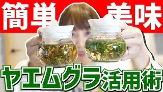 【野草活用術】超簡単！香ばしくて美味しい「ヤエムグラ」活用術【雑草活用】