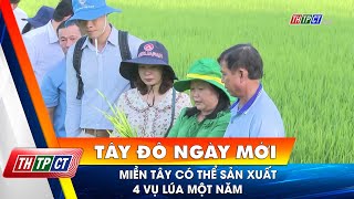 Miền Tây có thể sản xuất 4 vụ lúa một năm| Cần Thơ TV