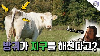 탄소중립, 온실가스 이젠 알고 갑시다!  | 요리사와 환경이야기 | 환경컨설팅연구원 게스트