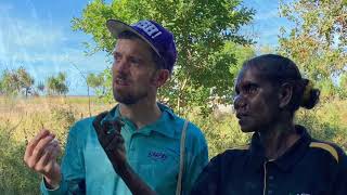 Arafura Swamp Indigenous Rangers tell their stories through video