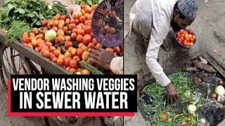 Viral Video: Vegetable Seller Caught Washing Veggies in Sewer Water | Cobrapost