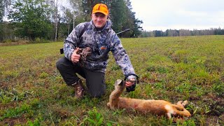 Осенние загоны в Гродненской области. Охота в Беларуси