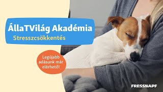 ÁllaTVilág Akadémia - Stresszcsökkentés