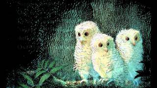 三隻貓頭鷹/Owl Babies