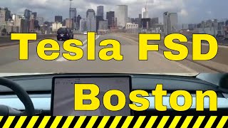 Tesla Autopilot Vs Boston Craziness