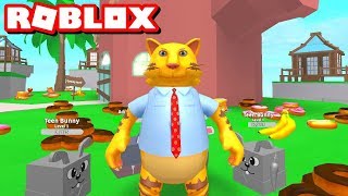Codes In Roblox Pet Paradise Videos 9tubetv - pet paradise roblox codes Codes In Roblox Pet Paradise Videos 9tubetv - pet paradise roblox codes