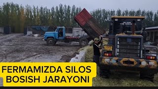 FERMAMIZDA SILOS BOSISH JARAYONI