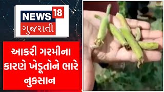 Sabarkantha News: આકરી ગરમીના કારણે ખેડૂતોને ભારે નુકસાન | Heat | Farmers | News18