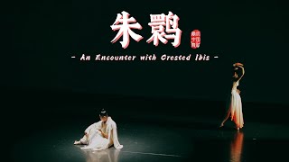 An Encounter with Crested Ibis《朱鹮》- PCDC 2024 Showcase