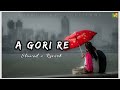 Ae Gori Re New Santali Lofi Song 2024|| slowed+reverb||Ashok Tudu Punam Soren||Lofi Santali Music