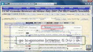 UCSC Genome Browserの使い方～wig形式のファイルをトラックとして追加する～