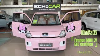 Electric Car EEC Rang 220KM  Dongfeng Fengon MINI EV Export