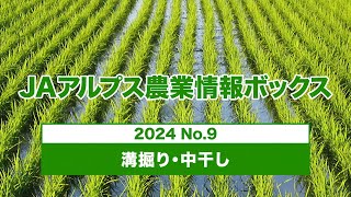 JAアルプス農業情報ボックス2024 NO.9　溝掘り・中干し