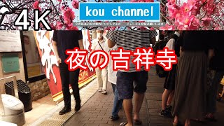 4K【夜の吉祥寺】ハーモニカ横丁 ダイヤ街 サンロード 元町通り 吉祥寺大通り 吉祥寺通り 公園通り 平和通り 元町新道 井の頭通り 東急 西友 パルコ 丸井 kichijoji