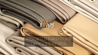 Assorted Earthtone Upholstery Hide