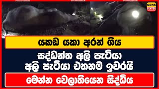 යකඩ යකා අරන් ගිය සද්ධන්ත අලි පැටියා | අලි පැටියා එතනම ඉවරයි | මෙන්න වෙලාතියෙන සිද්ධිය