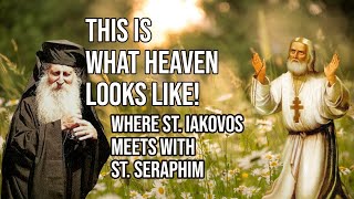What does HEAVEN LOOK LIKE? A VISION of St. Iakovos of Evia (Met. Neophytos)