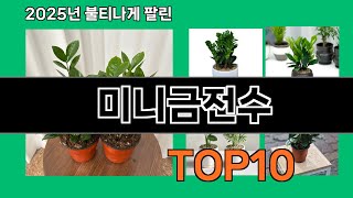 미니금전수 쿠팡에서 제일 많이 팔린 인기템 BEST 10