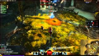 Guild Wars 2 BWE3 - Guardian burst damage