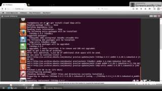 CNS Lab3: CAS and LAPD Authentication