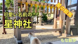 七夕の演出が綺麗な名古屋にある星神社へ行く旅する猫