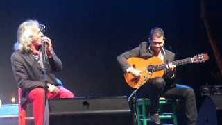 Capullo de Jerez; Guitarrista Miguel Salado Puyol,Fiesta de la Bulerías 