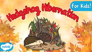 Hedgehog Hibernation Explained | Hibernation for Kids!