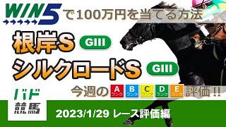 【WIN5で100万円：レース評価編】 2023年1月29日（日）根岸S・シルクロードS