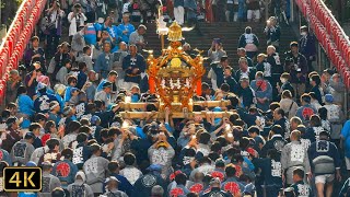 赤坂・日枝神社 山王祭「氏子各町連合宮入（石段上がり）」[2/3] Sanno Matsuri (Festival) 2024.6.8 @赤坂・日枝神社 Hie Jinja Shrine