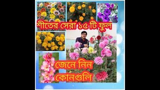 শীতের সেরা ১৫ টি ফুল  BEST TOP 15 WINTER FLOWERS FOR YOUR GARDEN