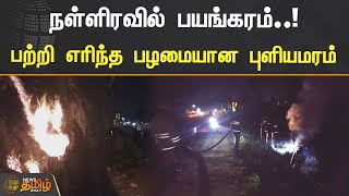 நள்ளிரவில் பயங்கரம்..! பற்றி எரிந்த பழமையான புளியமரம் | Madurai | Highway